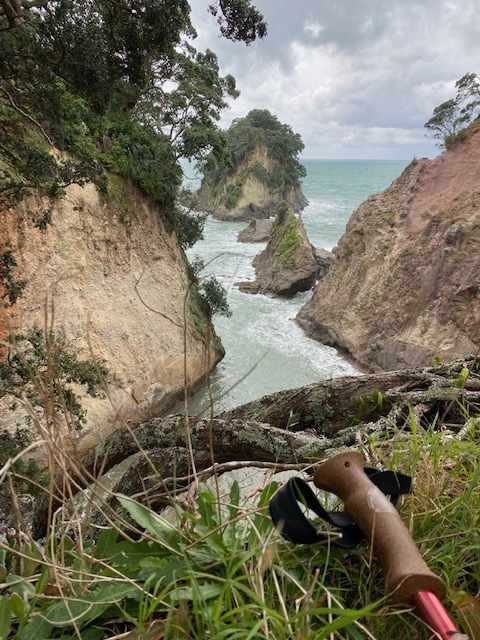 Papakura Bay Shipwreck